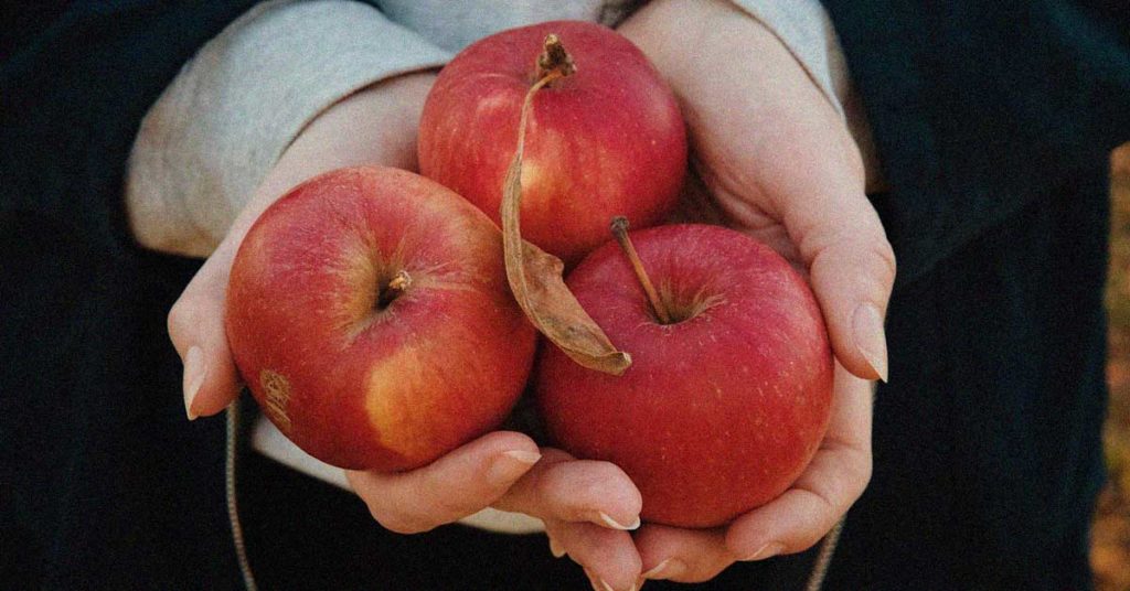 Frau hält drei rote Äpfel in den Händen. Diese können Auslöser für eine Apfelallergie sein.
