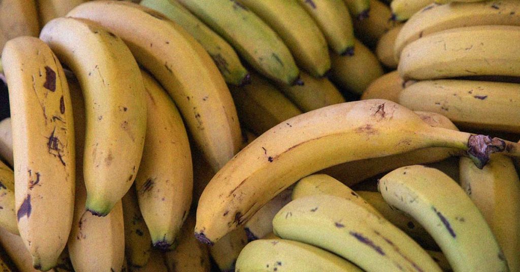 Viele gelbe Bananen auf einem Haufen. Diese können bei manchen Menschen eine Bananenallergie auslösen.
