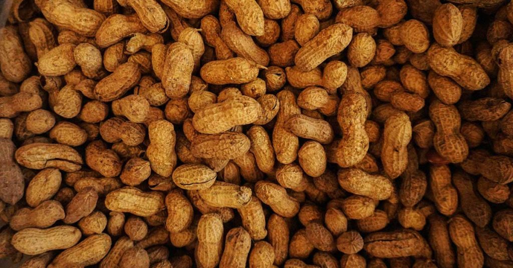 Viele Erdnüsse auf einem Haufen. Diese können bei vielen Menschen eine Erdnussallergie auslösen.